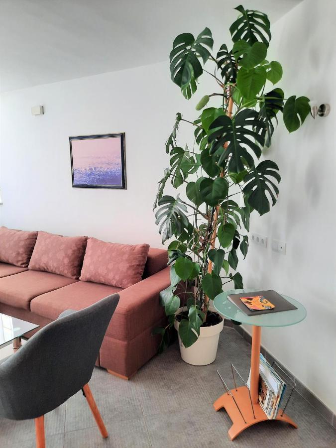 Apartment Mato 바르바리가 외부 사진
